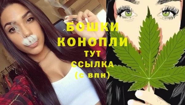 метадон Медвежьегорск