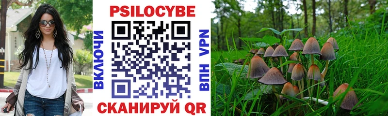 Галлюциногенные грибы Cubensis сколько стоит Яранск